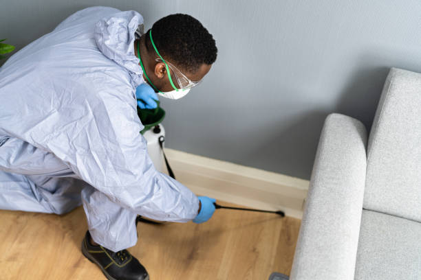 Best Pest Control for Hotels  in Heber, CA